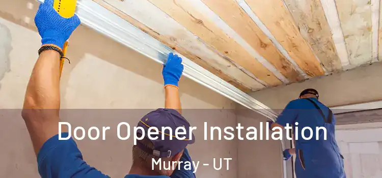  Door Opener Installation Murray - UT