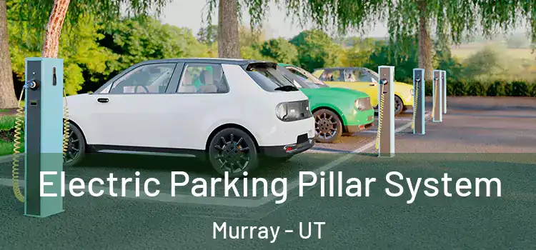  Electric Parking Pillar System Murray - UT